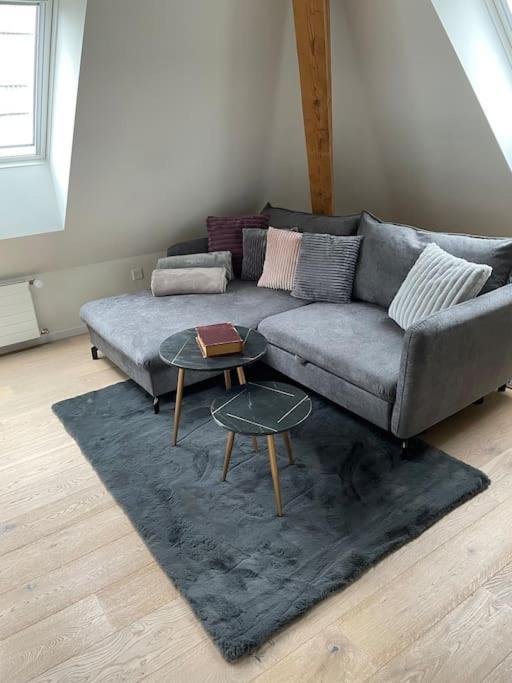 Gemuetliche & Zentrale In Der Stadt Apartamento